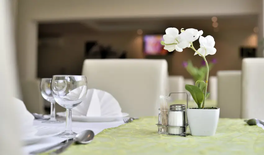 Wellness Hotel Viktria Nagyatd - Hsvt (min. 3 j)