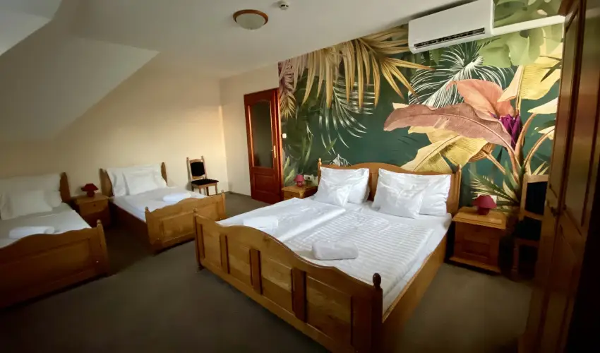 Villa Park Panzi Szilvsvrad - Hsvt