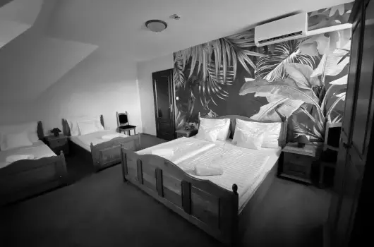 Hotel Villa Park - H�sv�t