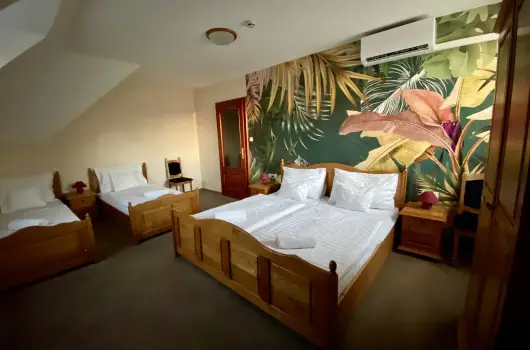 Villa Park Panzi - Hsvt