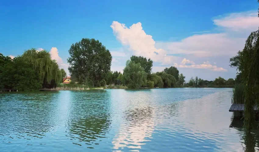 Virg dlhz Szarvas - Hsvt