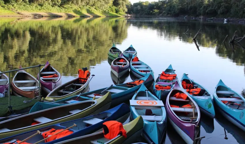 Vrs lom Apartman Panzi Tiszakcske Tiszakcske - Hsvt