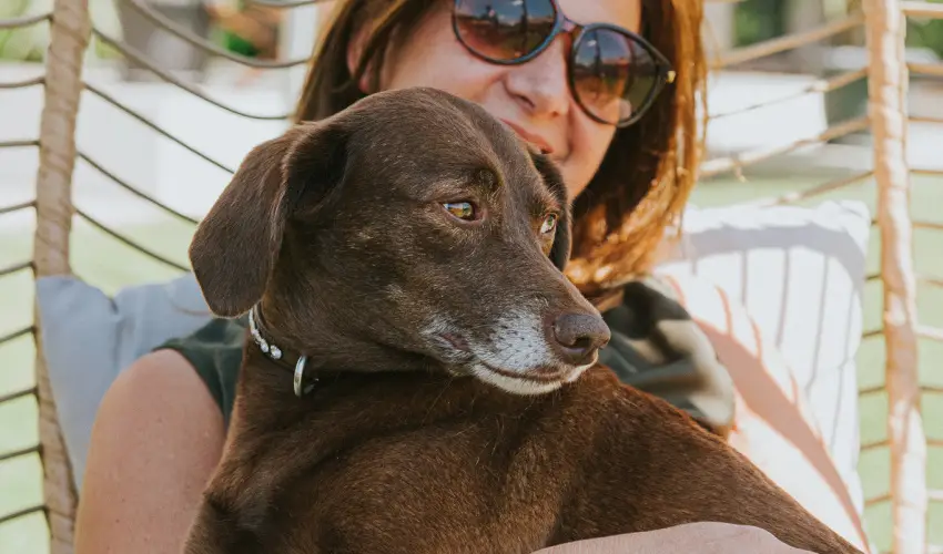 Wabi Hotel Sopron - H�sv�t 