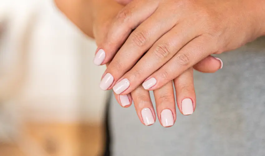 Wabi Hotel Sopron - H�sv�t 