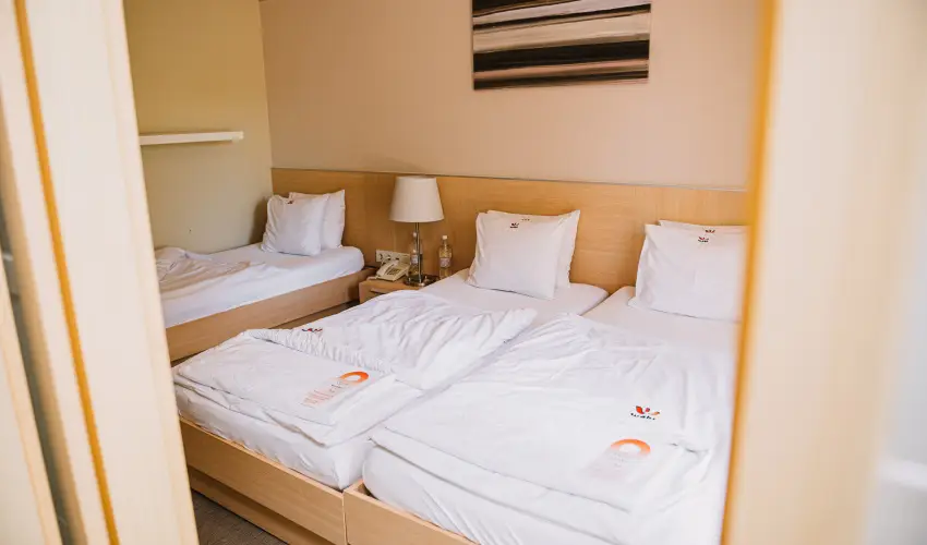 Wabi Hotel Sopron - H�sv�t 