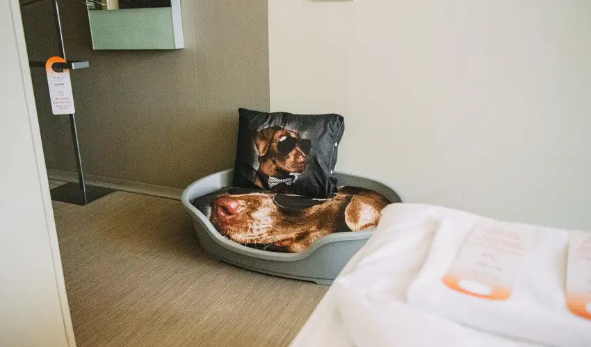 Wabi Hotel Sopron - H�sv�t 