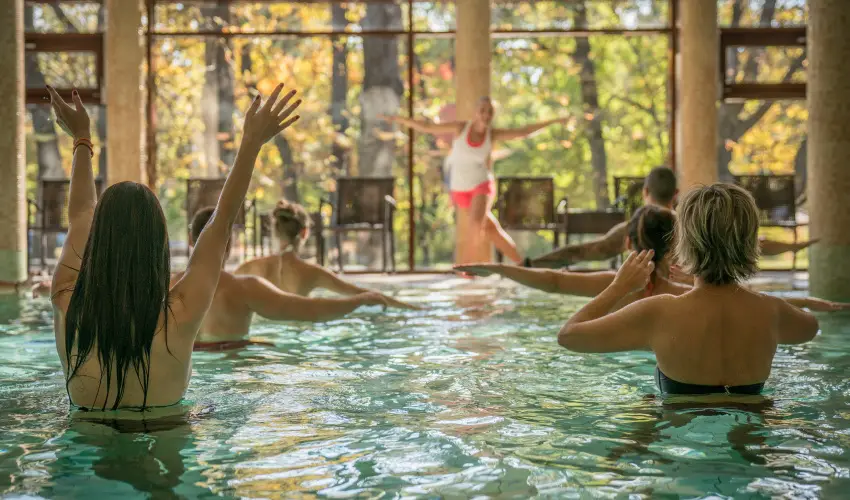 Wellness Hotel Gyula Gyula - Hsvt (min. 3 j)