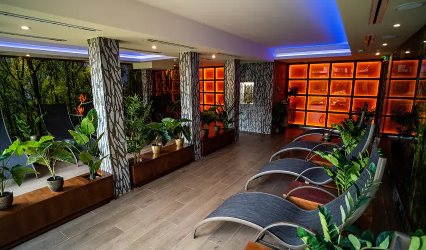 Wellness Hotel Gyula Gyula - H�sv�t (min. 3 �j)
