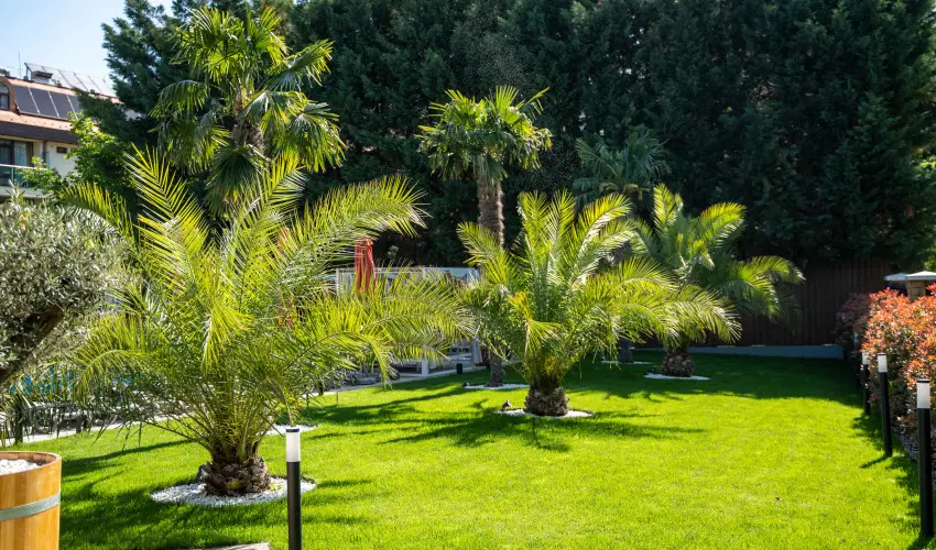 Wellness Hotel Gyula Gyula - H�sv�t (min. 3 �j)