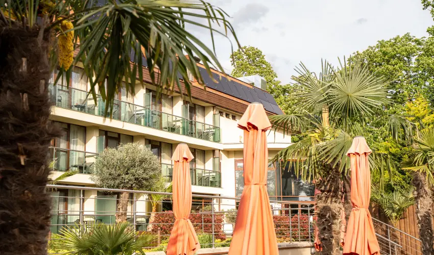 Wellness Hotel Gyula Gyula - H�sv�t (min. 3 �j)