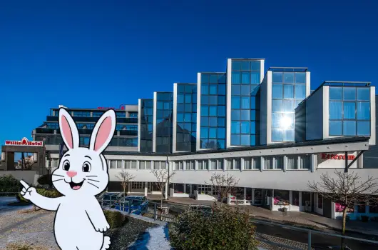 Willis Hotel Business & Wellness - H�sv�ti felfriss�l�s f�lpanzi�val