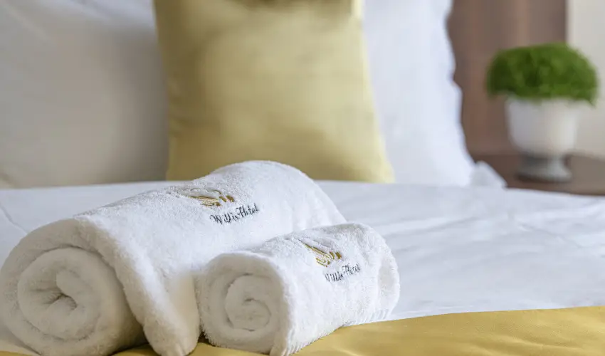 Willis Hotel Business & Wellness Zalaegerszeg - H�sv�ti felfriss�l�s f�lpanzi�val (min. 2 �j)