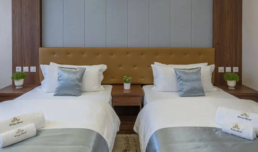 Willis Hotel Business & Wellness Zalaegerszeg - H�sv�ti felfriss�l�s f�lpanzi�val (min. 2 �j)