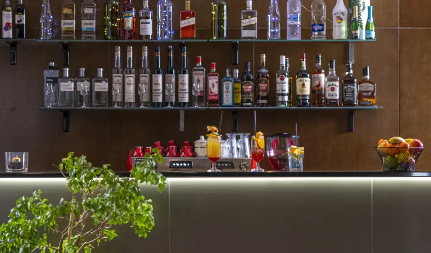 Willis Hotel Business & Wellness Zalaegerszeg - H�sv�ti felfriss�l�s f�lpanzi�val (min. 2 �j)