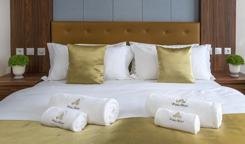 Willis Hotel Business & Wellness Zalaegerszeg - H�sv�ti felfriss�l�s f�lpanzi�val (min. 2 �j)