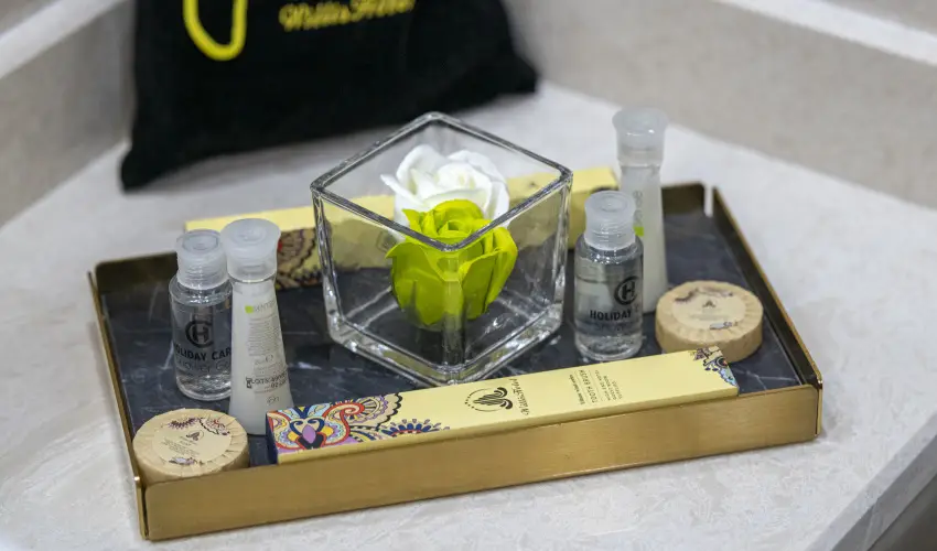 Willis Hotel Business & Wellness Zalaegerszeg - H�sv�ti felfriss�l�s f�lpanzi�val (min. 2 �j)