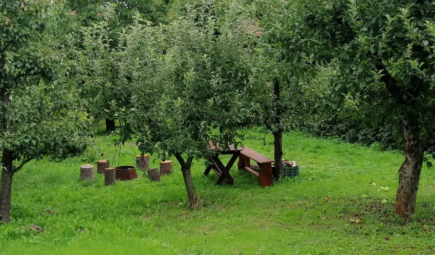 Zempl�ni T�nd�rkert Vend�gh�z F�z�rkoml�s - H�sv�t (min. 2 �j)