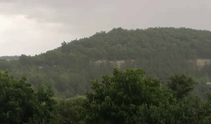 Zempl�ni T�nd�rkert Vend�gh�z F�z�rkoml�s - H�sv�t (min. 2 �j)