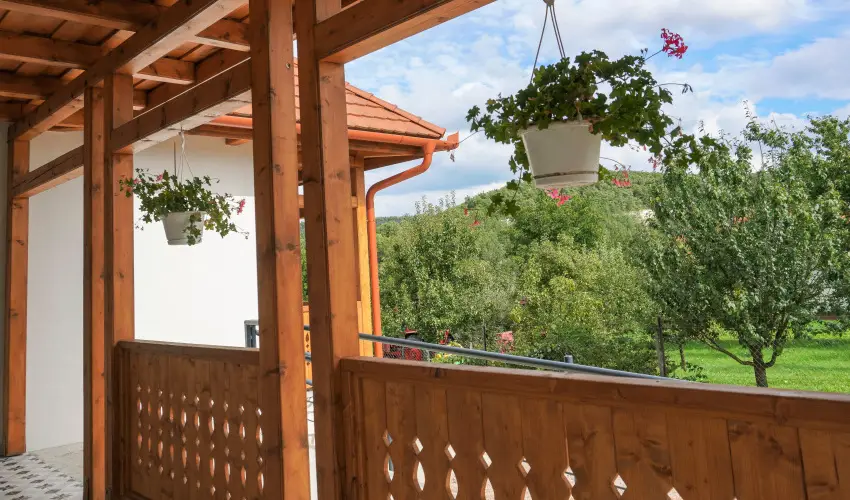 Zempl�ni T�nd�rkert Vend�gh�z F�z�rkoml�s - H�sv�t (min. 2 �j)