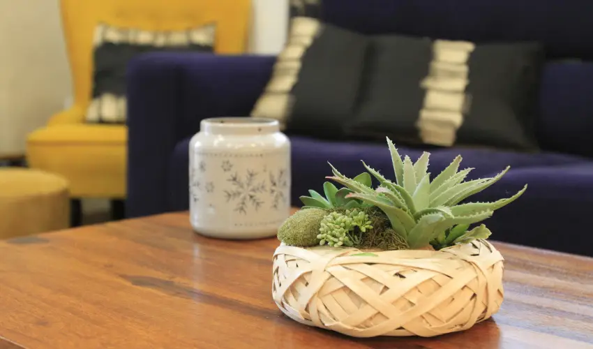 Zenit Panzi� Miskolctapolca - H�sv�t 