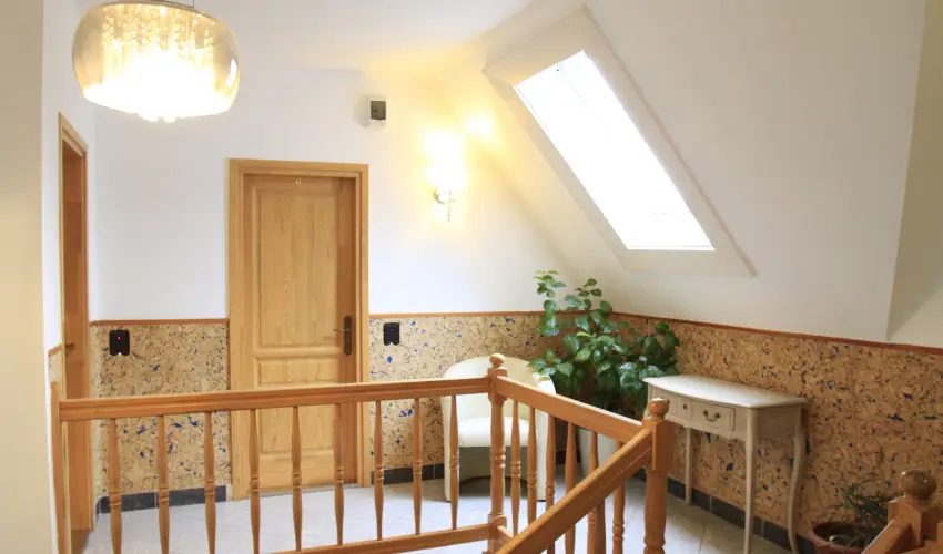 Zenit Panzi� Miskolctapolca - H�sv�t 