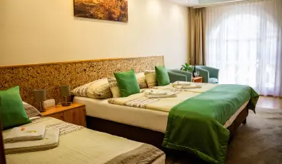 Zenit Panzi� Miskolctapolca