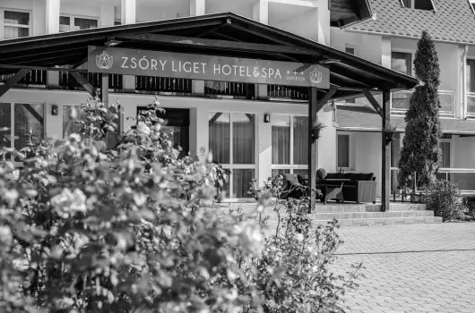 Zs�ry Liget Hotel & Spa - H�sv�t