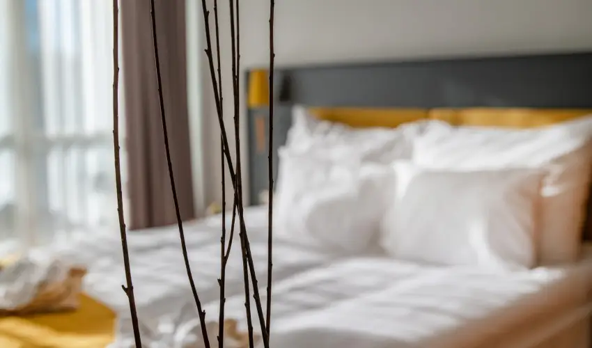 Zsry Liget Hotel & Spa Mezkvesd - Hsvt