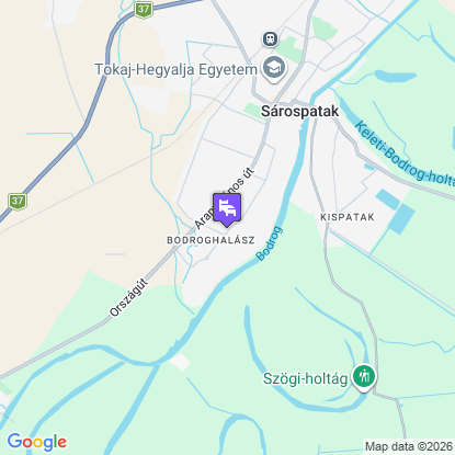 Margar�ta Panzi� a t�rk�pen