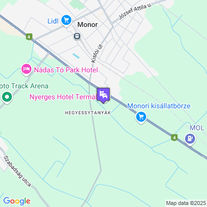 Nyerges Hotel Term�l a t�rk�pen