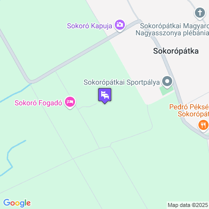 Sokor Fogad a trkpen